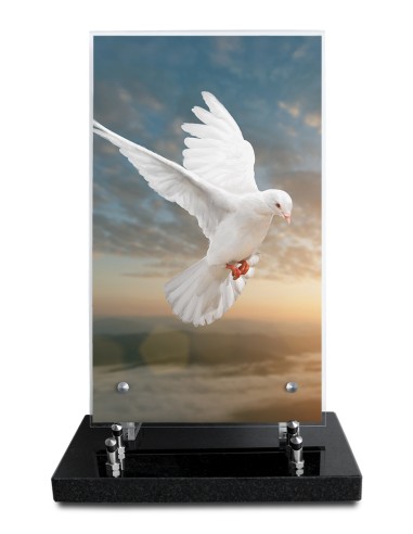 PLAQUE ALTUGLAS IMPRIME 18X30CM SANS...