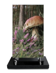 PLAQUE ALTUGLAS IMPRIME...