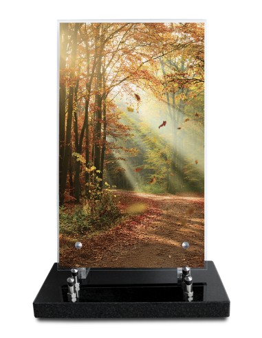 PLAQUE ALTUGLAS IMPRIME 18X30CM SANS...