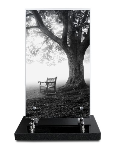 PLAQUE ALTUGLAS IMPRIME 18X30CM SANS...