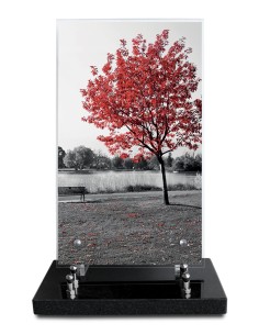 PLAQUE ALTUGLAS IMPRIME...