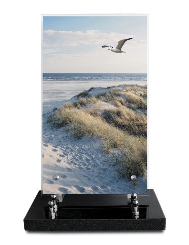 PLAQUE ALTUGLAS IMPRIME 18X30CM SANS...