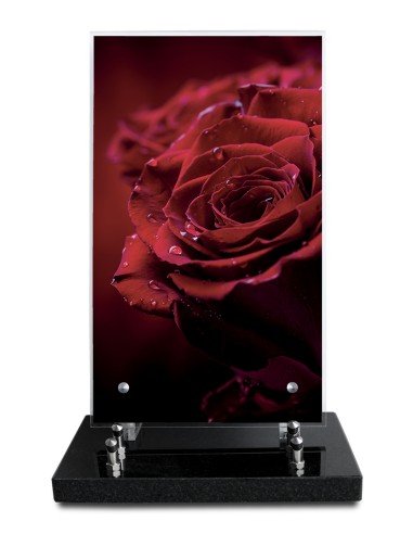 PLAQUE ALTUGLAS IMPRIME 18X30CM SANS...