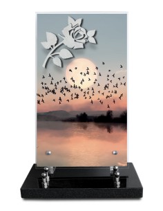 PLAQUE ALTUGLAS IMPRIME...