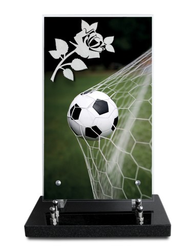 PLAQUE ALTUGLAS IMPRIME 18X30CM MOTIF...