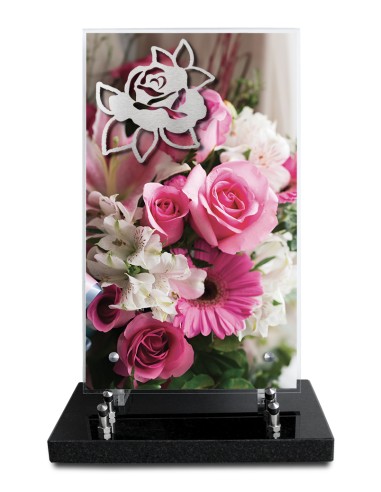 PLAQUE ALTUGLAS IMPRIME 18X30CM MOTIF...