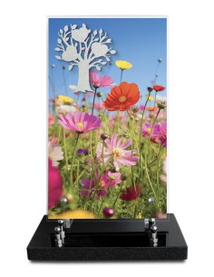 PLAQUE ALTUGLAS IMPRIME...