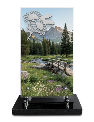 PLAQUE ALTUGLAS IMPRIME 18X30CM MOTIF...