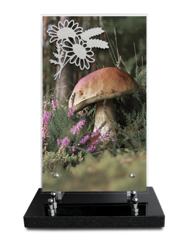 PLAQUE ALTUGLAS IMPRIME 18X30CM MOTIF...