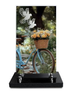 PLAQUE ALTUGLAS IMPRIME...