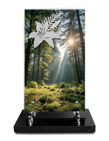 PLAQUE ALTUGLAS IMPRIME 18X30CM MOTIF...