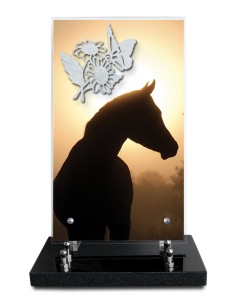 PLAQUE ALTUGLAS IMPRIME...