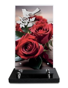 PLAQUE ALTUGLAS IMPRIME...