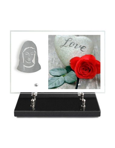 PLAQUE IMPRIMEE 20X30 SANS TEXTE +...
