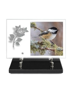 PLAQUE IMPRIMEE 20X30 SANS...