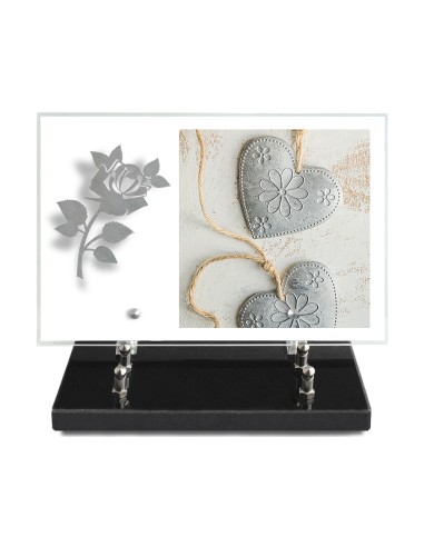 PLAQUE IMPRIMEE 20X30 SANS TEXTE +...