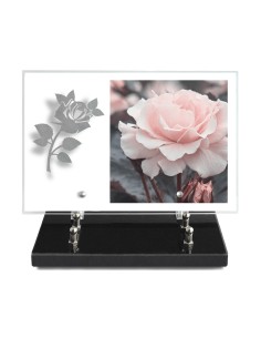PLAQUE IMPRIMEE 20X30 SANS...