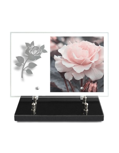 PLAQUE IMPRIMEE 20X30 SANS TEXTE +...