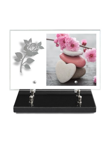 PLAQUE IMPRIMEE 20X30 SANS TEXTE +...
