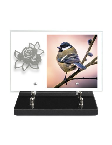PLAQUE IMPRIMEE 20X30 SANS TEXTE +...