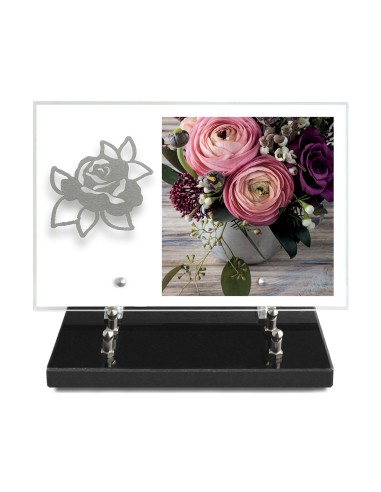 PLAQUE IMPRIMEE 20X30 SANS TEXTE +...