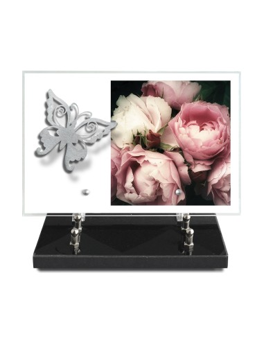 PLAQUE IMPRIMEE 20X30 SANS TEXTE +...
