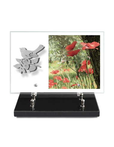 PLAQUE IMPRIMEE 20X30 SANS TEXTE +...