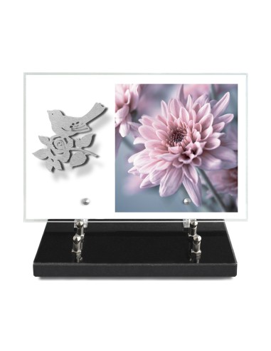PLAQUE IMPRIMEE 20X30 SANS TEXTE +...