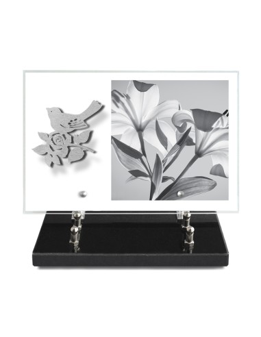 PLAQUE IMPRIMEE 20X30 SANS TEXTE +...