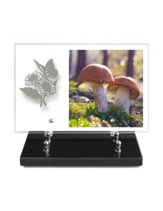 PLAQUE IMPRIMEE 20X30 SANS...