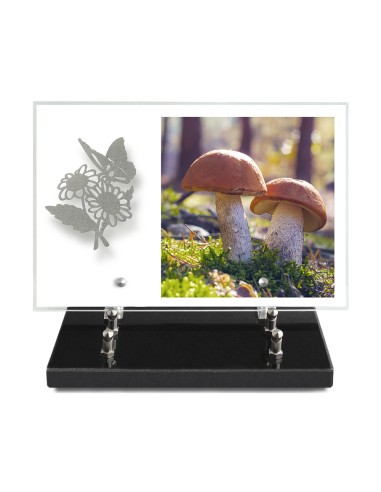 PLAQUE IMPRIMEE 20X30 SANS TEXTE +...