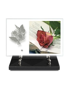 PLAQUE IMPRIMEE 20X30 SANS...