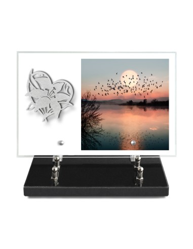 PLAQUE IMPRIMEE 20X30 SANS TEXTE +...
