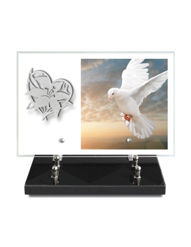 PLAQUE IMPRIMEE 20X30 SANS TEXTE +...