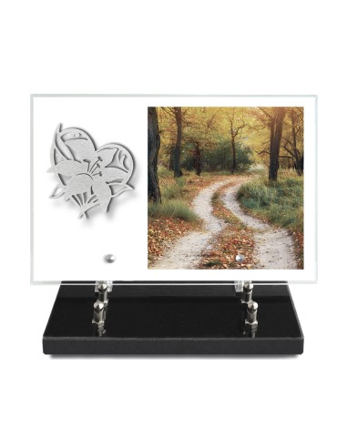 PLAQUE IMPRIMEE 20X30 SANS TEXTE +...