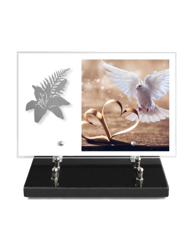 PLAQUE IMPRIMEE 20X30 SANS TEXTE +...