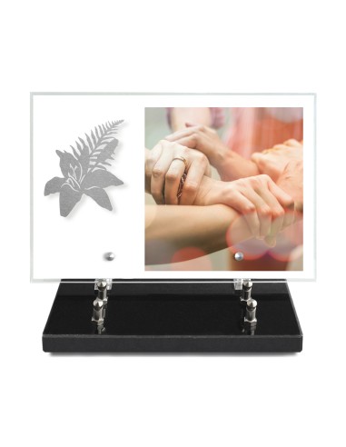 PLAQUE IMPRIMEE 20X30 SANS TEXTE +...