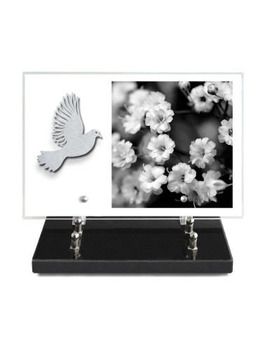 PLAQUE IMPRIMEE 20X30 SANS TEXTE +...