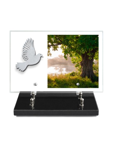 PLAQUE IMPRIMEE 20X30 SANS TEXTE +...