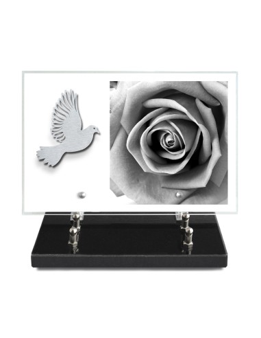 PLAQUE IMPRIMEE 20X30 SANS TEXTE +...