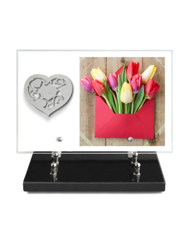 PLAQUE IMPRIMEE 20X30 SANS TEXTE +...