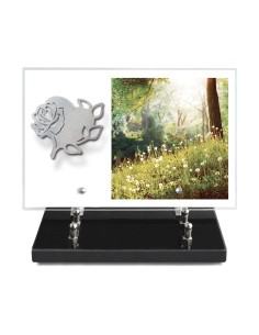 PLAQUE IMPRIMEE 20X30 SANS...