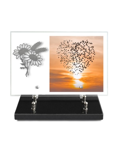 PLAQUE IMPRIMEE 20X30 SANS TEXTE +...
