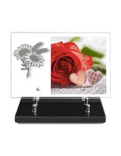 PLAQUE IMPRIMEE 20X30 SANS...