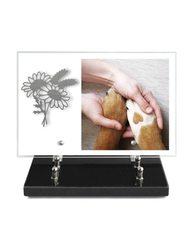 PLAQUE IMPRIMEE 20X30 SANS TEXTE +...