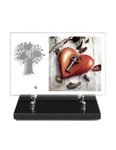 PLAQUE IMPRIMEE 20X30 SANS TEXTE +...