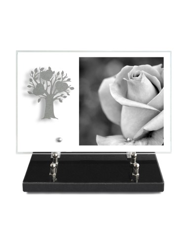 PLAQUE IMPRIMEE 20X30 SANS TEXTE +...