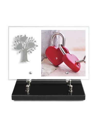 PLAQUE IMPRIMEE 20X30 SANS TEXTE +...