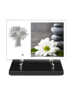 PLAQUE IMPRIMEE 20X30 SANS...