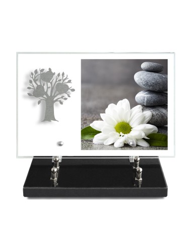 PLAQUE IMPRIMEE 20X30 SANS TEXTE +...